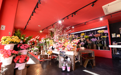本店 annex