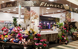 昇莉夢 しりむ 昇莉夢 しりむ